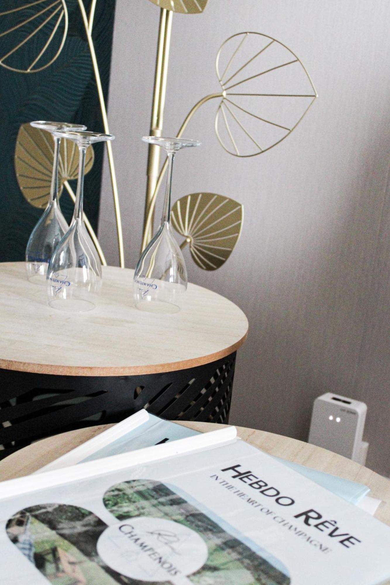 Reve Champenois Chambres D'Hotes Rilly-la-Montagne Εξωτερικό φωτογραφία